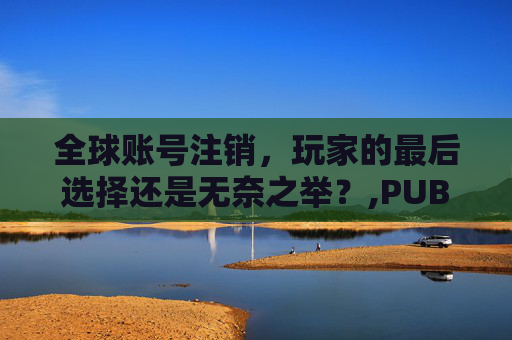 全球账号注销，玩家的最后选择还是无奈之举？,PUBG注销账号入口