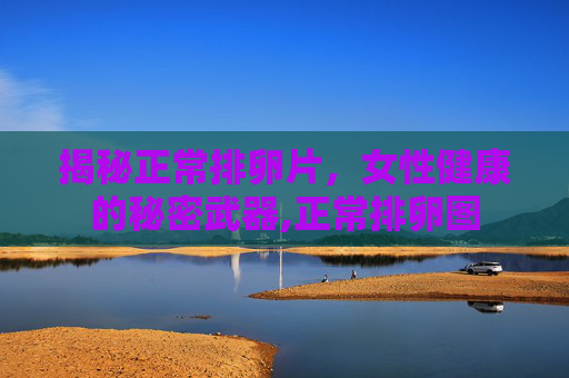 揭秘正常排卵片，女性健康的秘密武器,正常排卵图