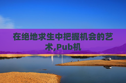 在绝地求生中把握机会的艺术,Pub机