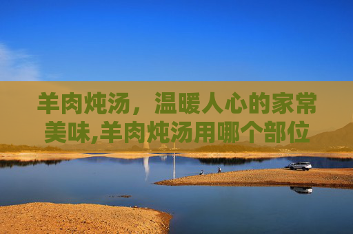 羊肉炖汤，温暖人心的家常美味,羊肉炖汤用哪个部位