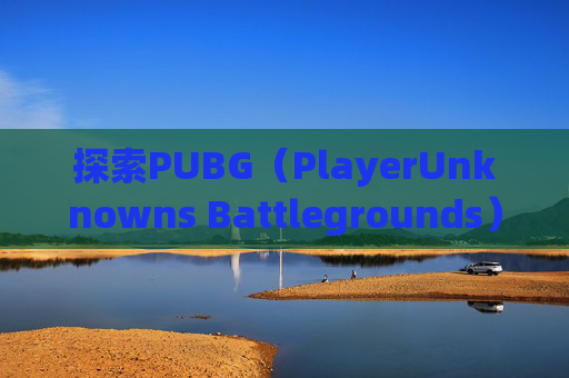 探索PUBG（PlayerUnknowns Battlegrounds）工资杯的奥秘,南京小学教师
