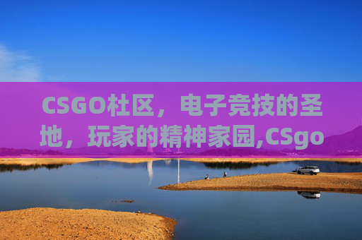 CSGO杜区，电子竞技的圣地，玩家的精神家园,CSgou