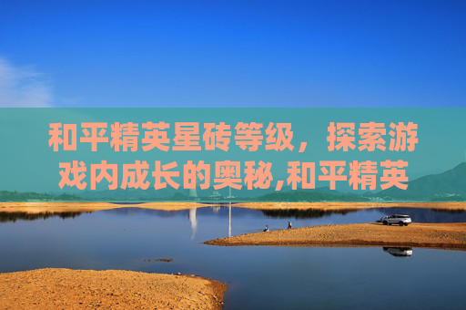 和平精英星砖等级，探索游戏内成长的奥秘,和平精英星砖等级怎么看