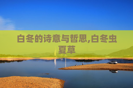 白冬的诗意与哲思,白冬虫夏草