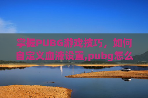 掌握PUBG游戏技巧，如何自定义血液设置,pubg怎么调血的颜色