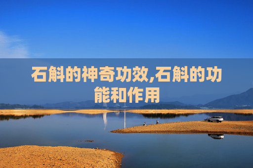 石斛的神奇功效,石斛的功能和作用