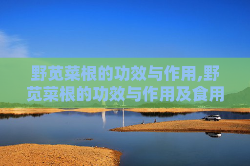 野苋菜根的功效与作用,野苋菜根的功效与作用及食用方法