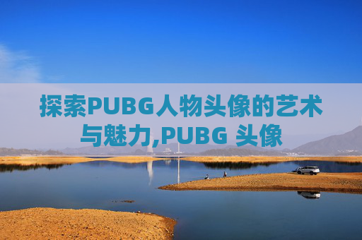 探索PUBG人物头像的艺术与魅力,PUBG 头像