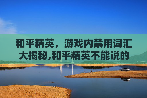 和平精英，游戏内禁用词汇大揭秘,和平精英不能说的词语