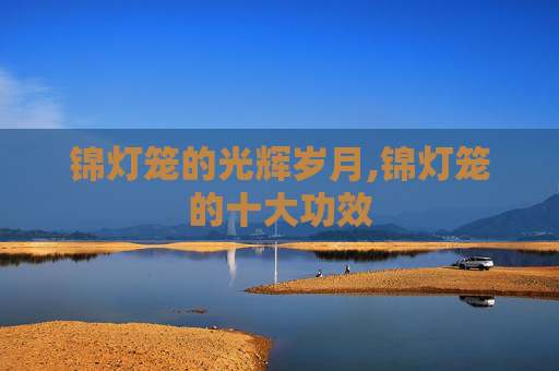 锦灯笼的光辉岁月,锦灯笼的十大功效