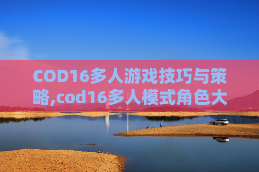 COD16多人游戏技巧与策略,cod16多人模式角色大全
