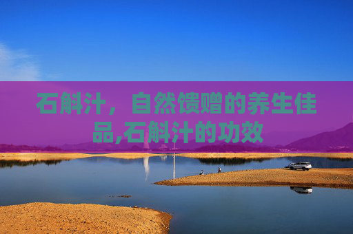 石斛汁，自然馈赠的养生佳品,石斛汁的功效