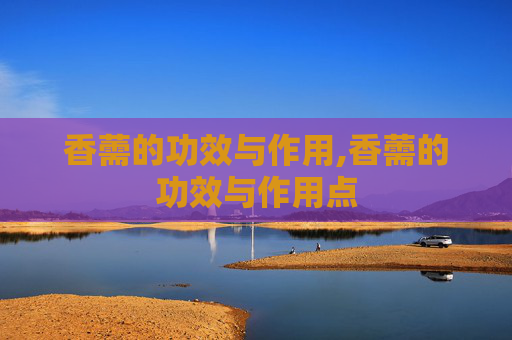 香薷的功效与作用,香薷的功效与作用点
