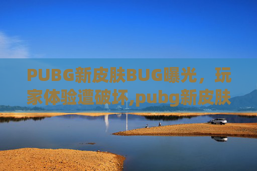 PUBG新皮肤BUG曝光，玩家体验遭破坏,pubg新皮肤爆料