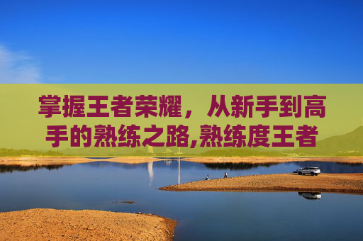 掌握王者荣耀，从新手到高手的熟练之路,熟练度王者荣耀等级