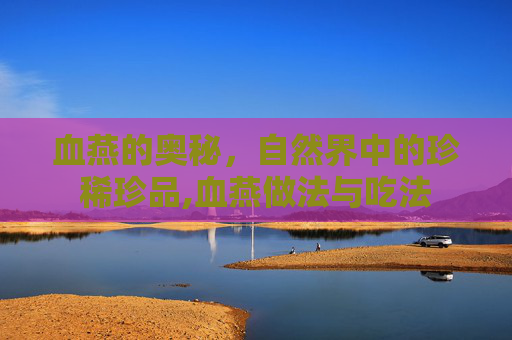 血燕的奥秘，自然界中的珍稀珍品,血燕做法与吃法