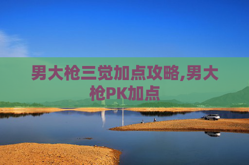 男大枪三觉加点攻略,男大枪PK加点