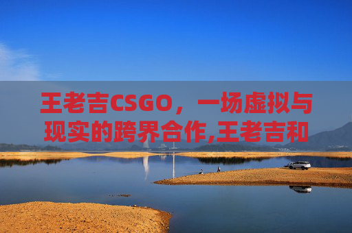 王老吉CSGO，一场虚拟与现实的跨界合作,王老吉和加多宝有什么区别