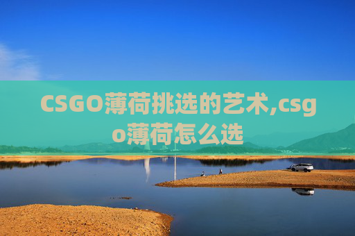 CSGO薄荷挑选的艺术,csgo薄荷怎么选