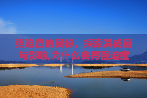 强迫症的奥秘，探索其成因与影响,为什么会有强迫症这个病