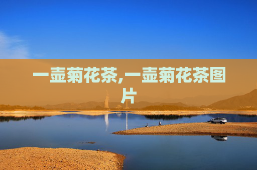 一壶菊花茶,一壶菊花茶图片