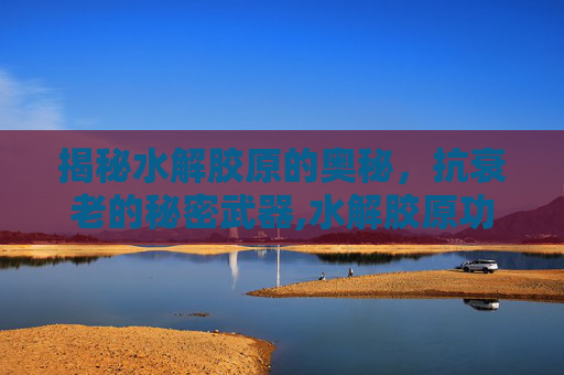揭秘水解胶原的奥秘，抗衰老的秘密武器,水解胶原功效与作用
