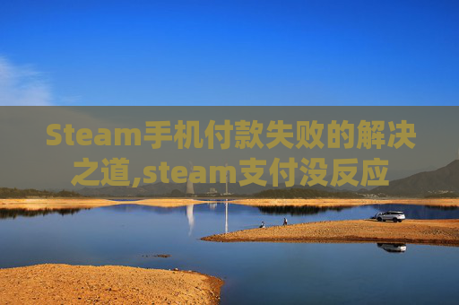 Steam手机付款失败的解决之道,steam支付没反应
