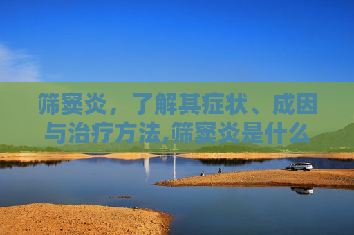 筛窦炎，了解其症状、成因与治疗方法,筛窦炎是什么病