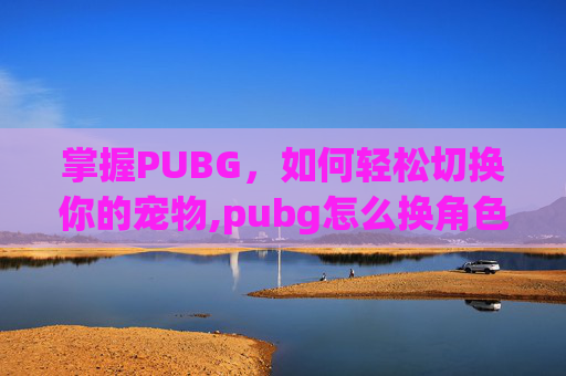 掌握PUBG，如何轻松切换你的宠物,pubg怎么换角色