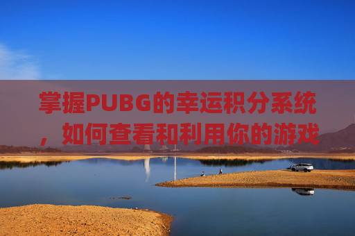 掌握PUBG的幸运积分系统，如何查看和利用你的游戏优势,pubg积分查询