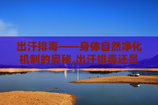 出汗排毒——身体自然净化机制的奥秘,出汗排毒还是排湿