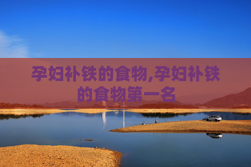 孕妇补铁的食物,孕妇补铁的食物第一名