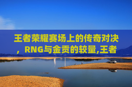 王者荣耀赛场上的传奇对决，RNG与金贡的较量,王者荣耀rng和金贡的关系
