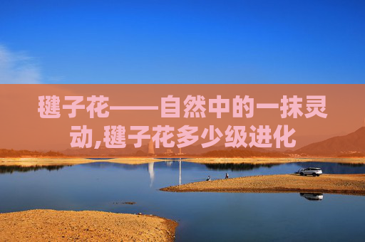 毽子花——自然中的一抹灵动,毽子花多少级进化