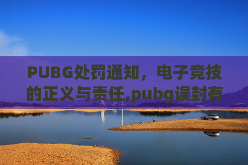 PUBG处罚通知，电子竞技的正义与责任,pubg误封有补偿吗