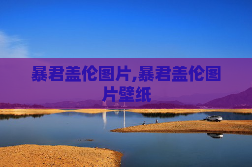 暴君盖伦图片,暴君盖伦图片壁纸