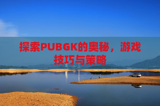 探索PUBGK的奥秘，游戏技巧与策略
