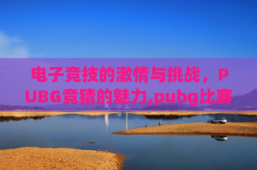 电子竞技的激情与挑战，PUBG竞猜的魅力,pubg比赛规则