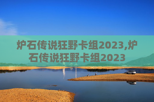 炉石传说狂野卡组2023,炉石传说狂野卡组2023