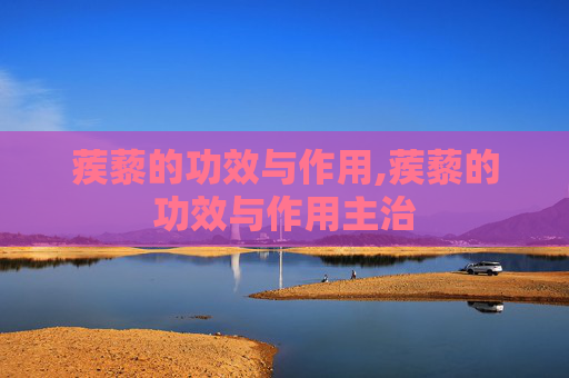 蒺藜的功效与作用,蒺藜的功效与作用主治
