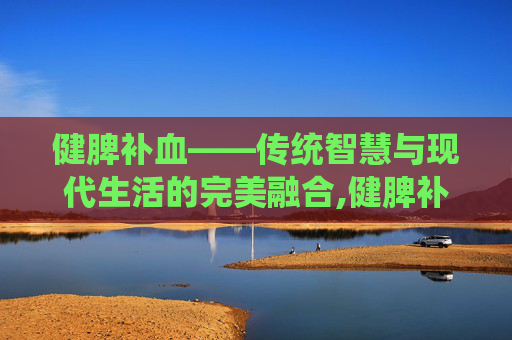 健脾补血——传统智慧与现代生活的完美融合,健脾补血颗粒