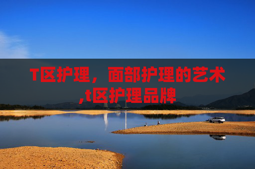 T区护理，面部护理的艺术,t区护理品牌