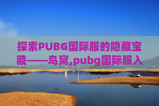 探索PUBG国际服的隐藏宝藏——鸟窝,pubg国际服入口
