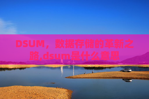DSUM，数据存储的革新之路,dsum是什么意思