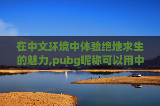 在中文环境中体验绝地求生的魅力,pubg昵称可以用中文吗