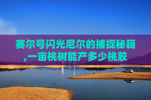 赛尔号闪光尼尔的捕捉秘籍,一亩桃树能产多少桃胶