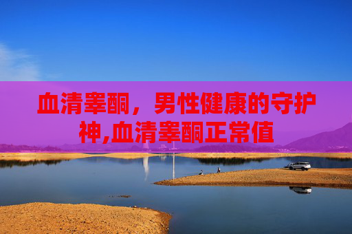 血清睾酮，男性健康的守护神,血清睾酮正常值