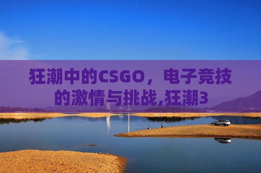 狂潮中的CSGO，电子竞技的激情与挑战,狂潮3