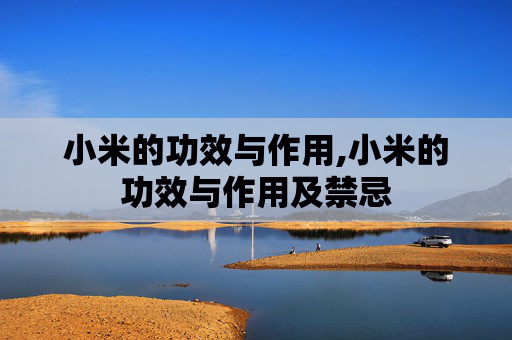 小米的功效与作用,小米的功效与作用及禁忌