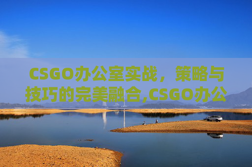 CSGO办公室实战，策略与技巧的完美融合,CSGO办公室